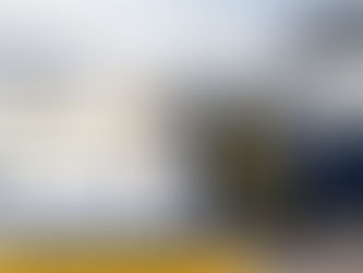 ¿Cómo Evitar Cargos por Equipaje en Lufthansa Airlines?