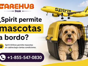 ¿Spirit permite mascotas a bordo?