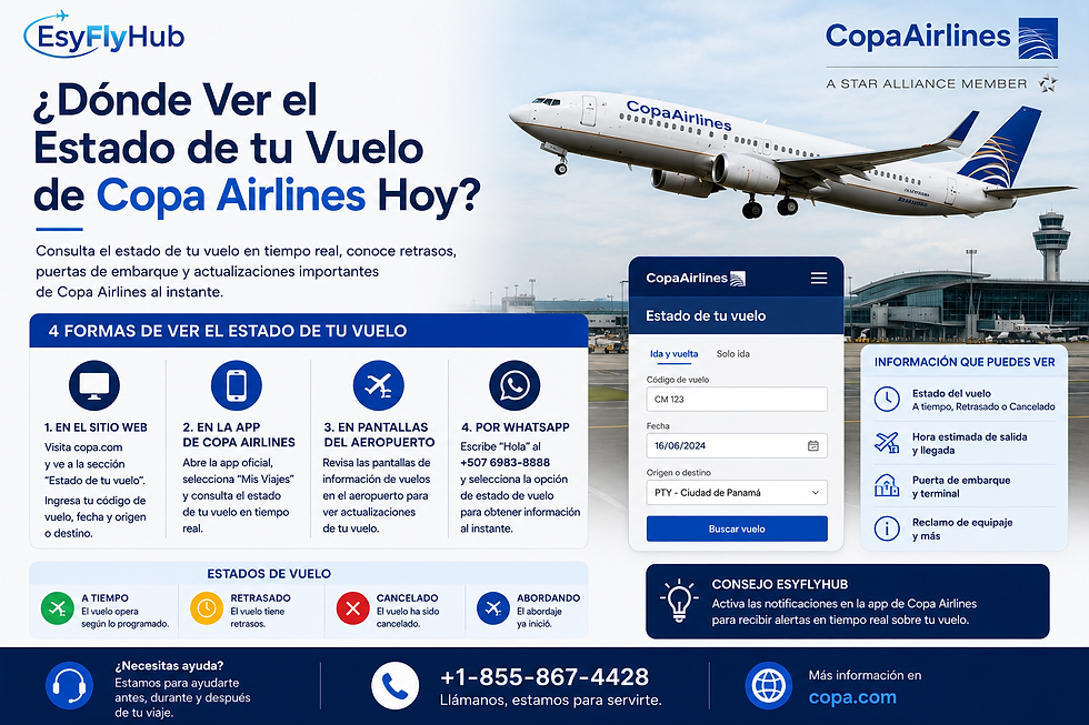 Spanish Copa Airlines flight-status guide poster with airplane over airport, app screenshot, and info boxes for tracking options and alerts
