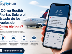 ¿Cómo Recibir Alertas Sobre el Estado de los vuelos de Delta Airlines?