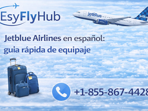 Jetblue Airlines en español: guía rápida de equipaje