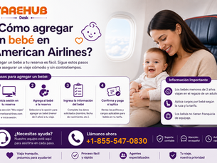 ¿Cómo agregar un bebé en American Airlines?