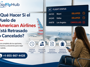 ¿Qué Hacer Si el Vuelo de American Airlines Está Retrasado o Cancelado?