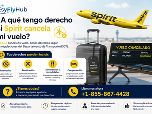 ¿A qué tengo derecho si Spirit cancela mi vuelo?