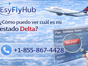 ¿Cómo puedo ver cuál es mi estado Delta?
