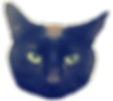 Sol, kitty, cat, paper moon, mcgregor