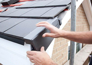 Dry Verge Hampshire_edited.jpg