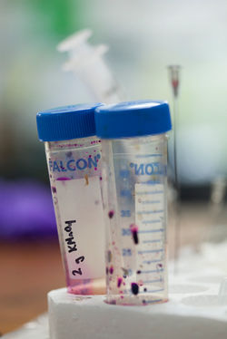 IMG_4600©ChDelory-Solaris-2019