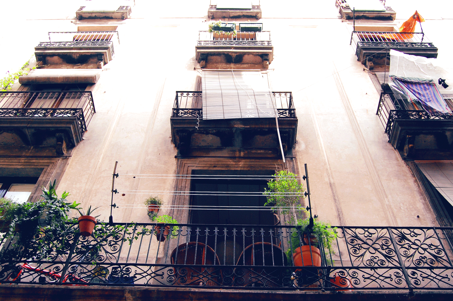 Header-1.1.gif