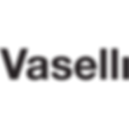 logo.png