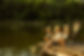 cute-little-girls-their-granddad-are-fishing-lake-river-min.jpg
