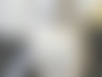 Scottish Fold Kittens in the Midwest: Is This Breed Right for You?