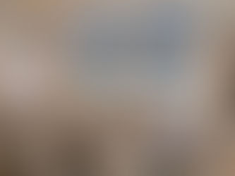 How Do Cordless Blinds Work?