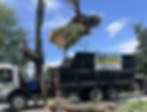 Emergency storm damage tree service by Lark Tree Services