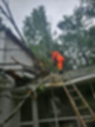 Fallen tree on house after storm in Lexington, NC