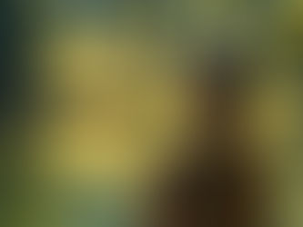 Exploring the Question: Can Self-Love Replace Romantic Love in Our Lives?