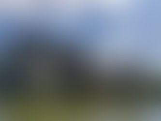 Mechanisms of Defence