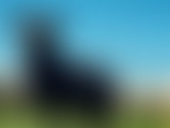 The Courage to Be the 'Black Sheep' – And Why It Pays Off