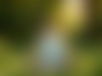 Harnessing Mindfulness Meditation for Better Health