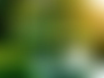 Effective Stress Management Techniques to Enhance Well-being