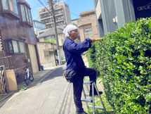 生垣の剪定