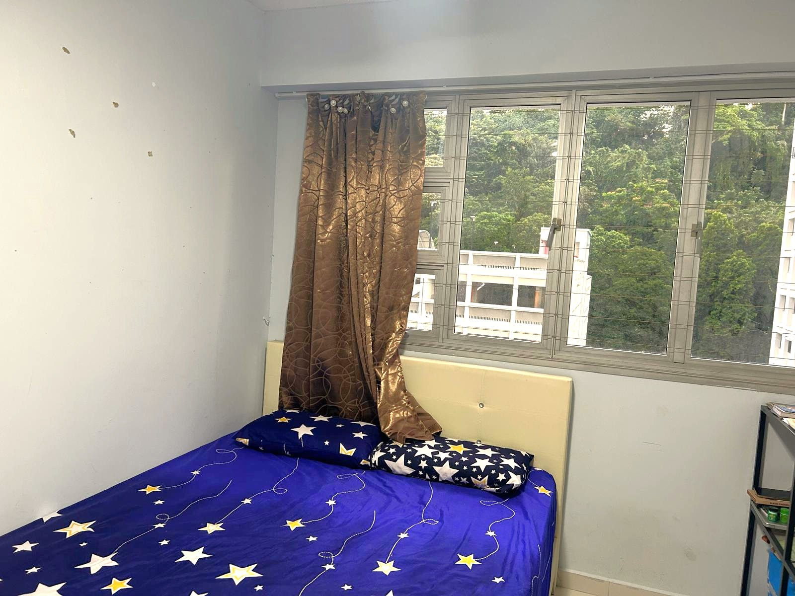 Common Room for Rent at Blk 105A Depot Road. (Single Pax Only)