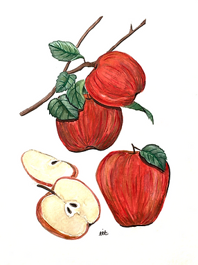 839121CD-96D2-46A3-A8E8-D5A6ADAF3346_edited.png