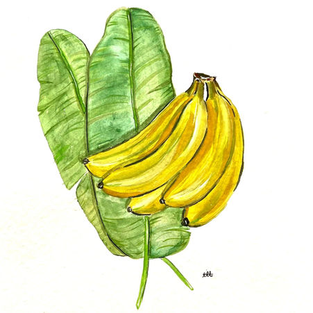 Bananeira