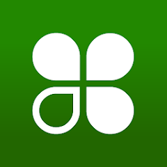clover.webp