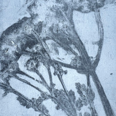 In The Negative