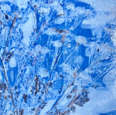 Cowslip In Blues