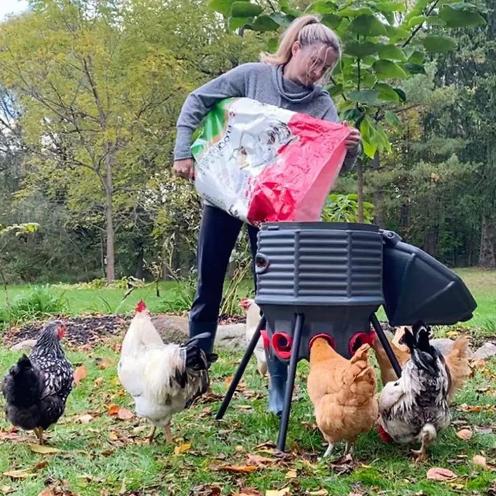 Hatching Time Feeding Silo 80lb