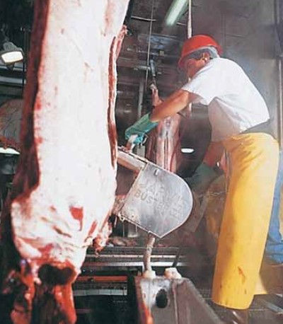 Model Buster 6ST Electric Bandsaw