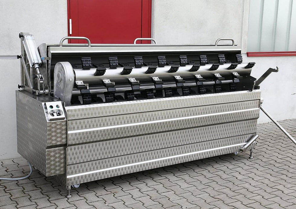 Model H(N)SKR Scalding System