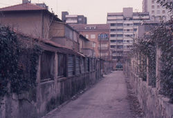 shangai 1986-2003