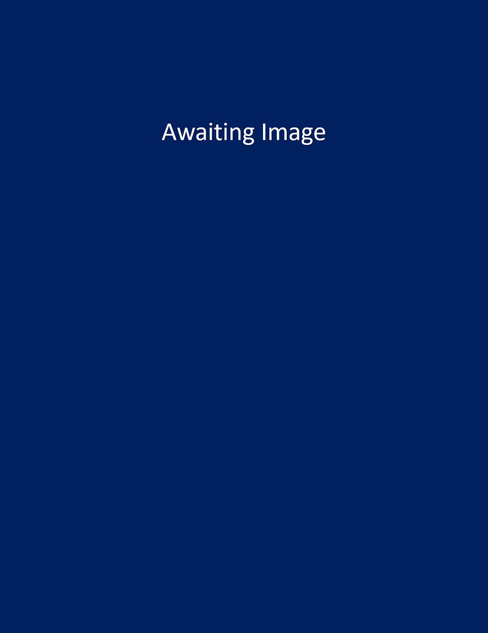 Awaiting Image.jpg
