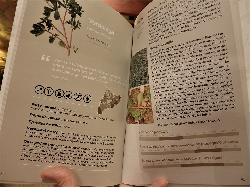 Miniatura: El libro de las plantas silvestres I