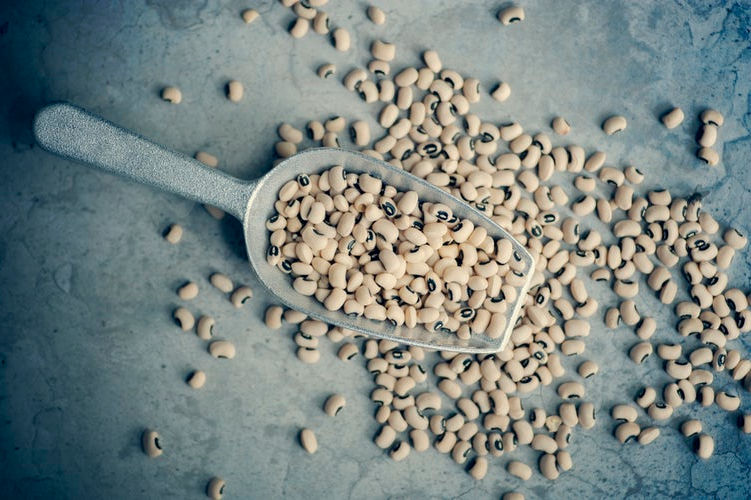 horizontal scoop.jpg