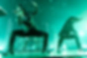 Concertverslag | Puscifer, 013