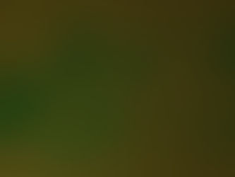 TALLER DE DIBUJO (10.OCT.2025)