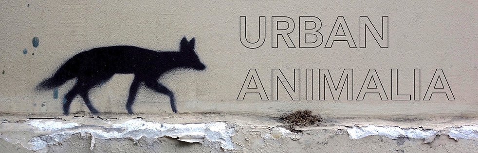 Urban Animalia Graphic copy.jpg