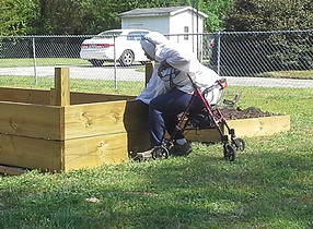 High raised bed.jpg