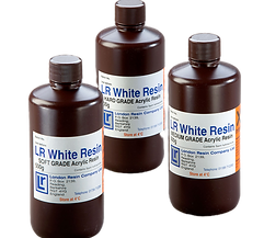 white-resin_img_1960_edited.png