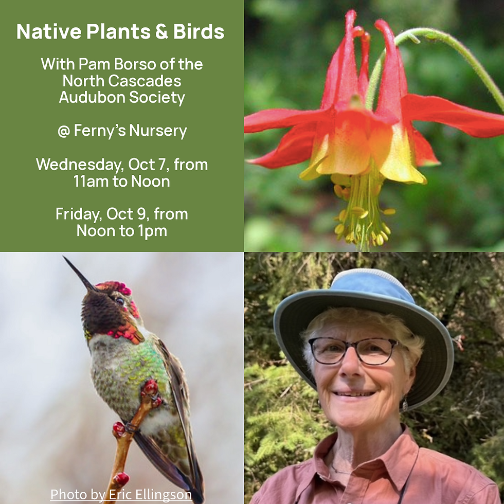 Native Plants & Birds