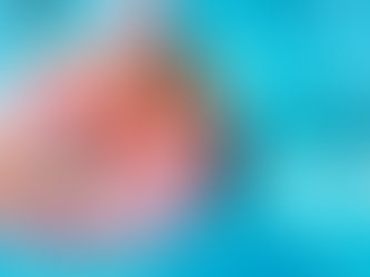 Piscina: Onde Comprar com Segurança e Garantia de Qualidade?