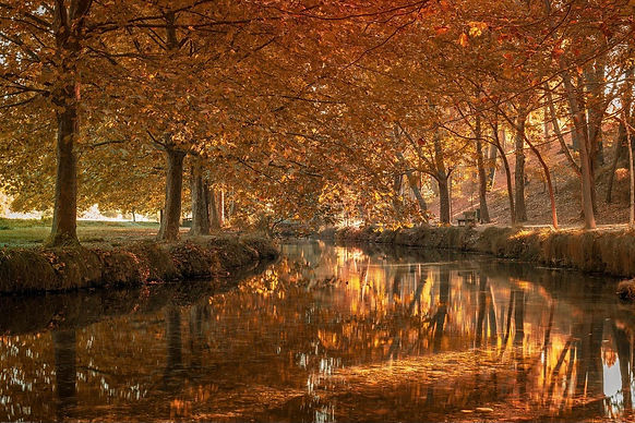 Paraje en Vizcaya.jpg