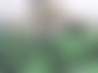 Aborto: Infierno informativo o manipulación social.