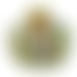 ¿Realmente los Colegios de médicos protegen al paciente? Joaquín Chaves