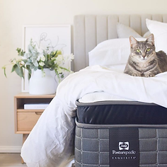 83284013_2866238230101248_33925941388294