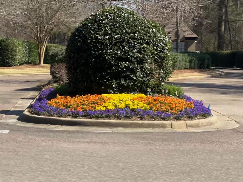 flowers